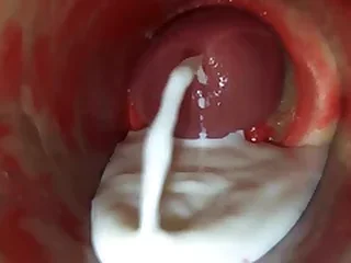 Sex Gay Porn 1