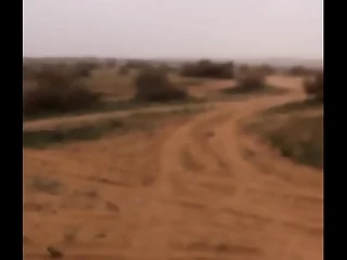 زب في الصحراء